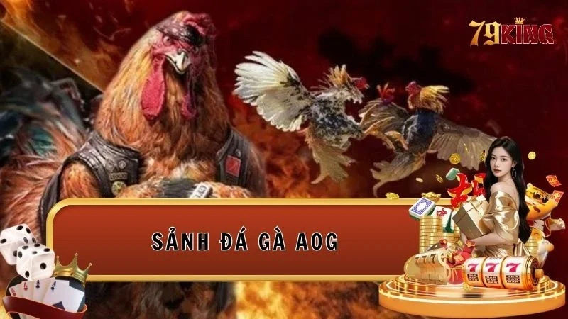 Sảnh Đá gà AOG là nơi anh em giải trí thoải mái